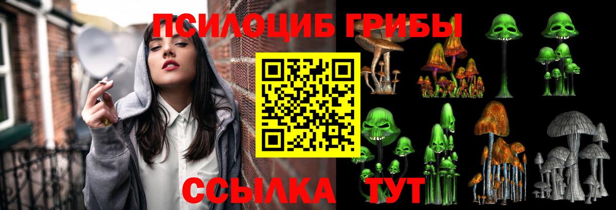 Псилоцибиновые грибы прущие грибы  Псилоцибиновые грибы прущие грибы  наркотики  Белебей  Вход с VPN 